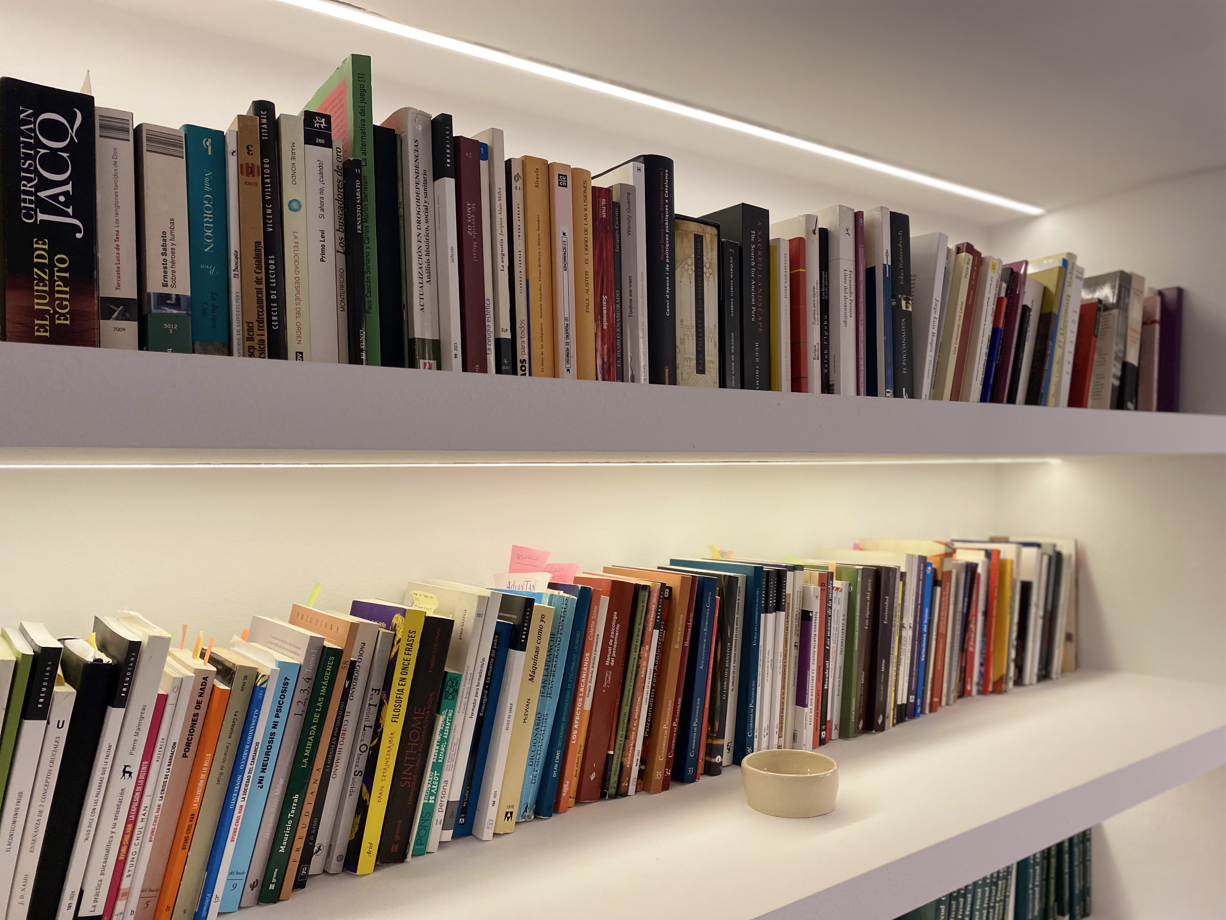 Biblioteca y textos de estudio